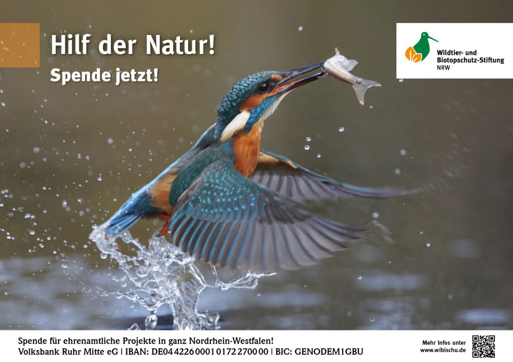 Hilf der Natur LJV NRW